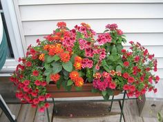 a potted planter filled with red and orange flowers sitting on a wooden deck