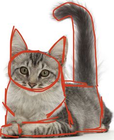 a cat with glasses on it's head sitting next to the letter c in red