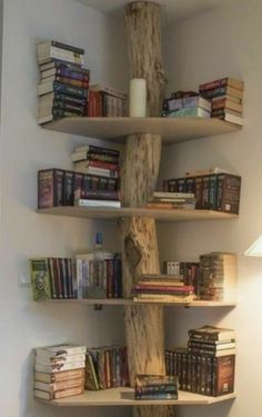 a book shelf with books on it in the corner