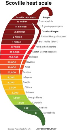 a poster with the names and numbers of different types of heat