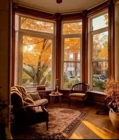 a living room filled with furniture and lots of windows covered in fall leaves on the trees