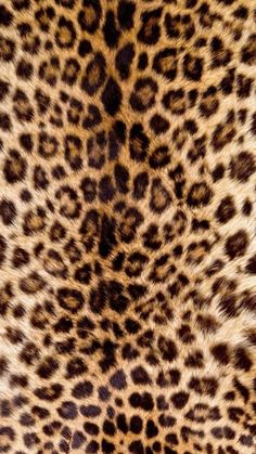 an animal print pattern is shown in brown and black colors on the skin of a cheetah