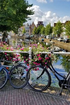 two bikes parked next to each other on a brick walkway near flowers and buildings in the background