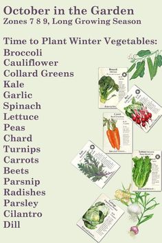 a poster with vegetables on it and the words, october in the garden zones 7 - 8 long growing season