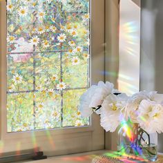 white flowers in a vase sitting on a table next to a window with sun shining through it