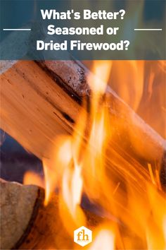 a fire with the words, what's better? seasoned or dried firewood?