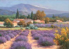 an oil painting of lavender fields in the foreground with a mountain in the background