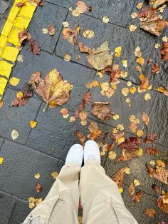 a person standing in front of leaves on the ground