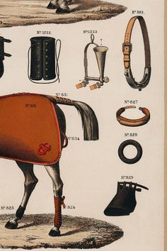 an old book with various types of horse saddles and other things to wear on it