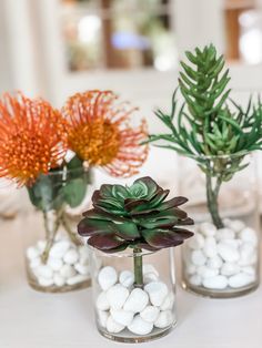 three vases filled with plants and rocks on top of a white tablecloth covered table