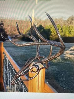 a metal deer head mounted to the side of a wooden fence next to a grassy field