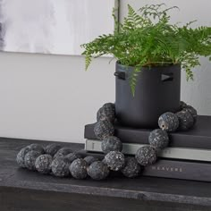 a potted plant sitting on top of two stacked books next to a black vase