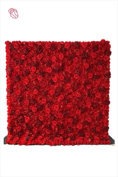 a red area rug is shown on a white background and it appears to be very soft