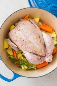 a chicken in a pot with vegetables and carrots