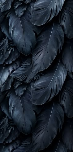 black feathers are stacked up together on the wall