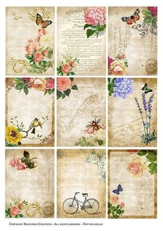 an assortment of flowers and butterflies on old paper with the words congratulations written in it