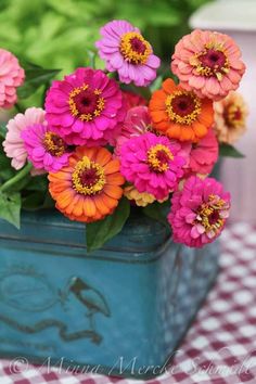 colorful flowers in a blue container on a checkered tablecloth