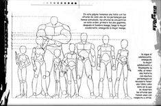 an image of a bodybuilding manual with instructions on how to build the human figure