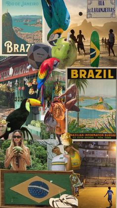 a collage of different pictures with birds and people in the background, including an image of