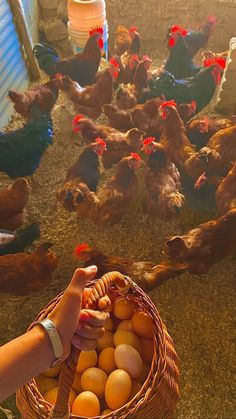 Garden Plants Ideas, Future Farms, Plants Ideas, Farm Lifestyle, Dream Life House, Casa Vintage, Chickens And Roosters, Ranch Life, Farms Living