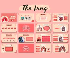 the lung presentation is displayed on a pink background