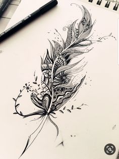 an ink drawing of a feather on paper