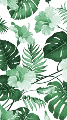 green and white tropical leaves on a white background