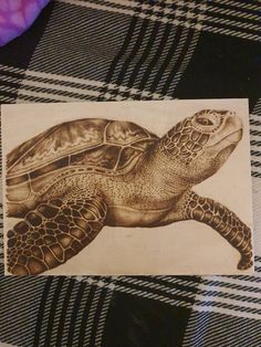 a drawing of a turtle on a table