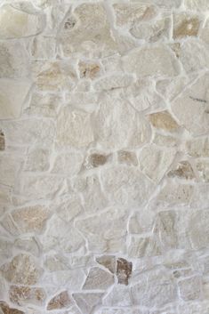 a cat sitting on the floor next to a stone wall with white and brown colors