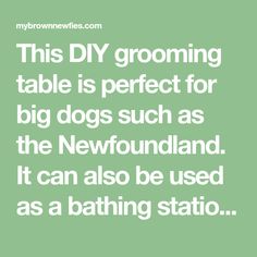 this diy grooming table is perfect for big dogs such as the newfoundland it can also be used as a bathing station