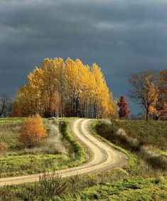 a dirt road in the middle of an open field with trees and grass on both sides