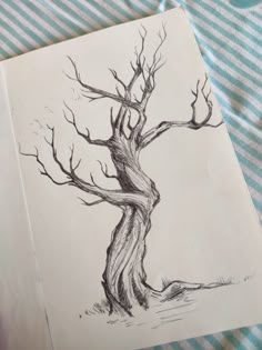 a pencil drawing of a tree with no leaves on the ground next to a blue and white striped table cloth