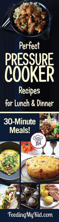 the recipe book for perfect pressure cooker recipes for lunch and dinner 30 minute meals