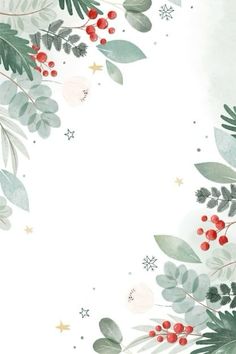 a white background with red berries and green leaves on the bottom right corner is an evergreen branch