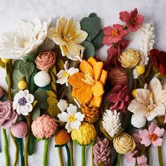 several different types of flowers on a white surface