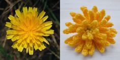 two different types of crocheted flowers on the left and right sides, with one yellow flower in the middle