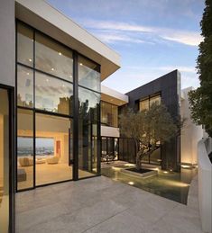 a modern house with large glass windows and an olive tree in the front yard at dusk