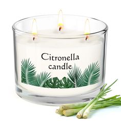 a white candle with green leaves on it next to some onions and celery