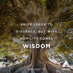 a large tree with the words, pride leads to disgrace, but with humility comes wisdom