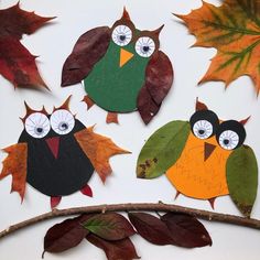 four owls sitting on top of leaves and one is painted green, orange, and red