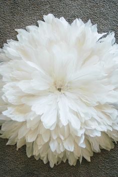 a large white flower sitting on top of a carpet