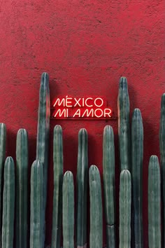 a red wall with some green cactus in front of it and a sign that says mexico innamor