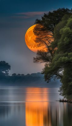 the full moon is setting over water with trees around it and reflecting in the water