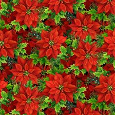 a red and green christmas poinsettia pattern