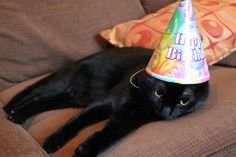 a black cat laying on top of a couch wearing a birthday hat