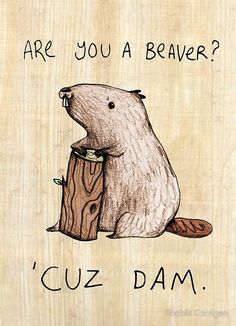 a drawing of a beaver holding a piece of wood with the words are you a beaver?