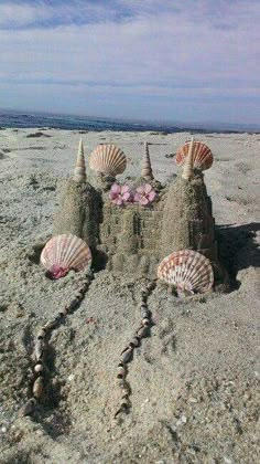 sand castle made out of shells on the beach