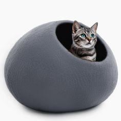 a cat sitting in a grey ball shaped bed with its eyes open and looking at the camera