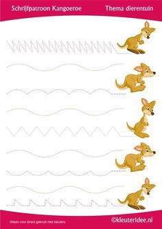 the worksheet for children to learn how to draw a kangaroo and other animals