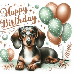 a happy birthday card with a dachshund puppy sitting in front of balloons